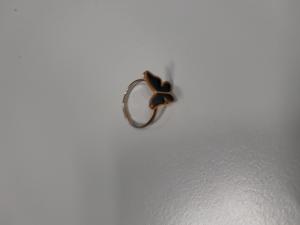 CS679/2024 ANELLO